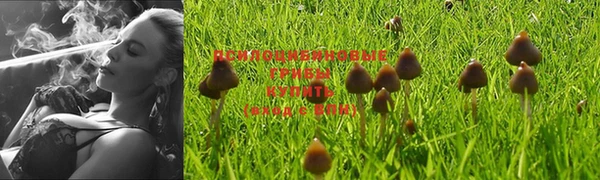 прущая мука Алексин