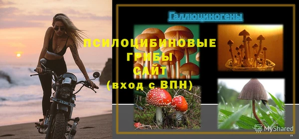 MDMA Premium VHQ Алзамай